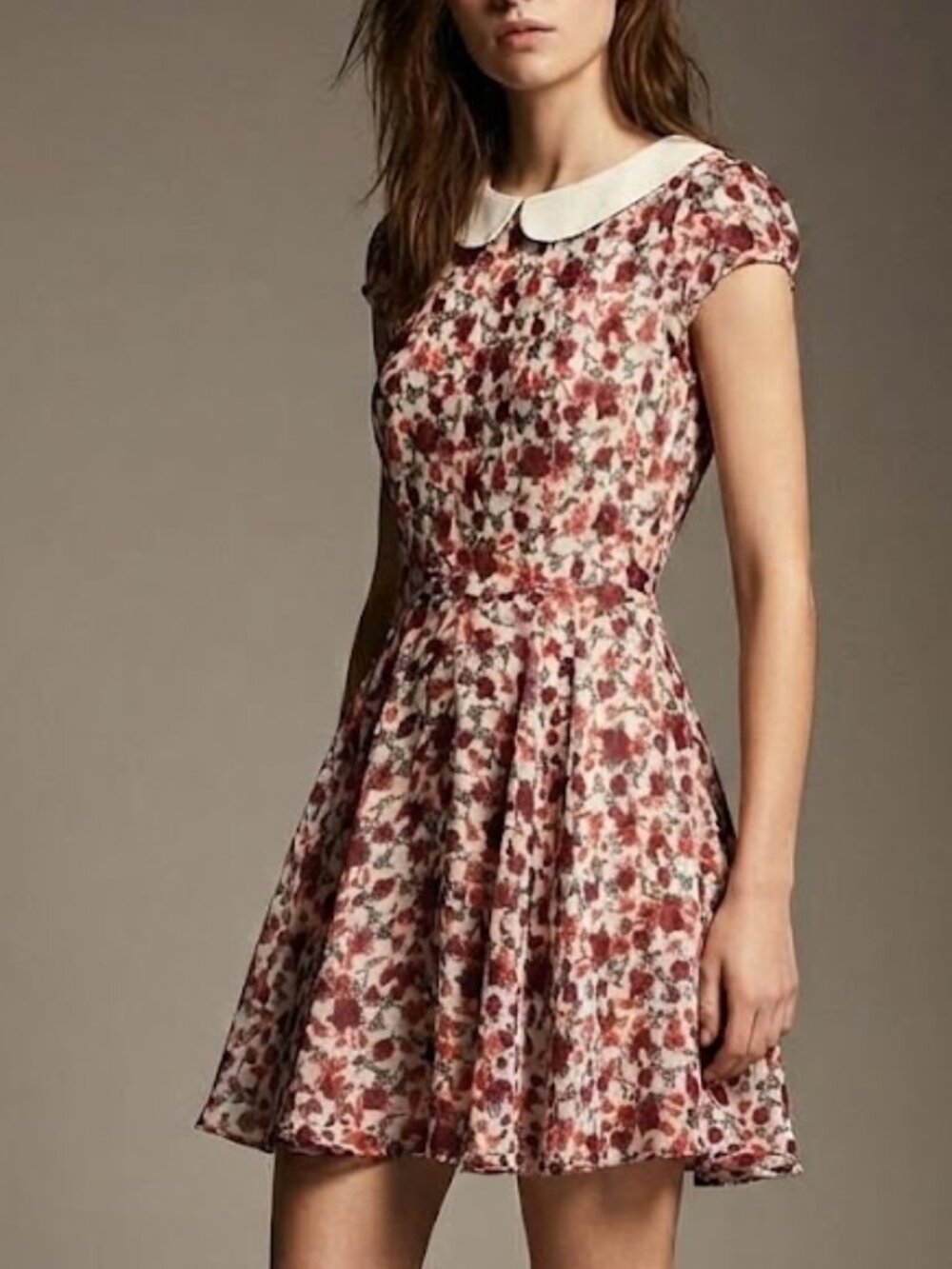 ZARA Trafaluc NWT Floral Chiffon Peter Pan Collar Mini Dress Open Back Small